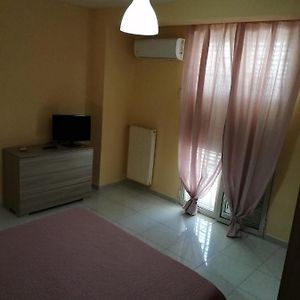 Stanza Olmo Caserta
